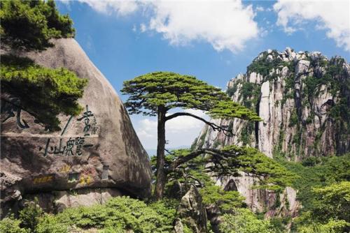 &#107;&#111;&#107;&#40;&#20013;&#22269;&#41;&#23448;&#26041;&#32593;&#31449;&#45;&#30331;&#24405;&#20837;&#21475;
